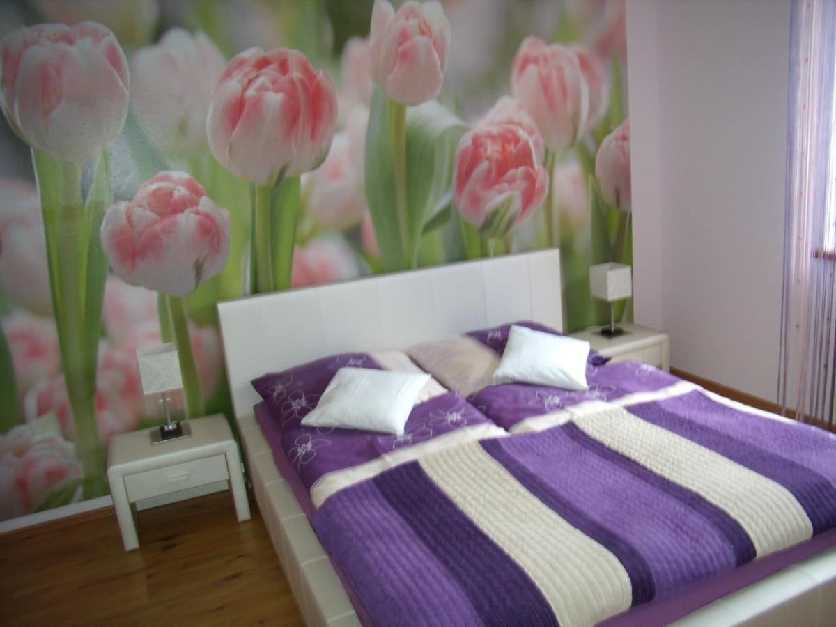 Apartament Nad Lomniczka Карпач Экстерьер фото